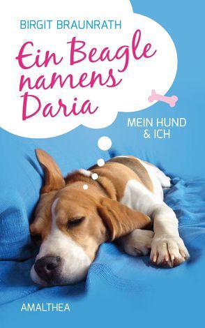 Ein Beagle namens Daria von Braunrath,  Birgit