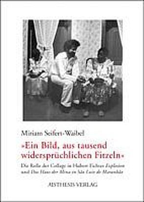 „Ein Bild, aus tausend widersprüchlichen Fitzeln“ von Seifert-Waibel,  Miriam