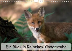 Ein Blick in Reinekes Kinderstube (Wandkalender 2020 DIN A4 quer) von Fuchs,  Mirko