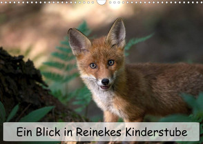 Ein Blick in Reinekes Kinderstube (Wandkalender 2022 DIN A3 quer) von Fuchs,  Mirko