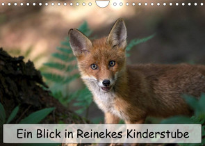 Ein Blick in Reinekes Kinderstube (Wandkalender 2022 DIN A4 quer) von Fuchs,  Mirko