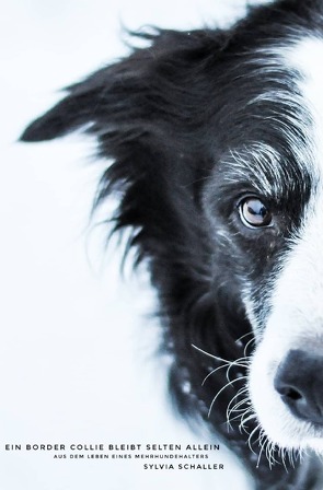 Ein Border Collie bleibt selten allein von Schaller,  Sylvia