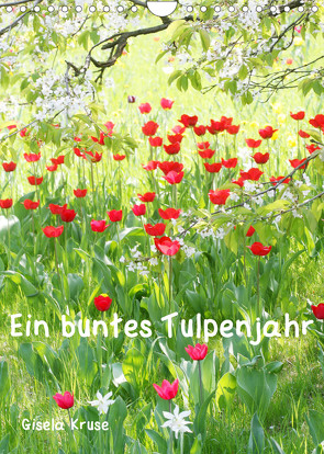 Ein buntes Tulpenjahr (Wandkalender 2022 DIN A4 hoch) von Kruse,  Gisela