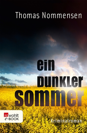 Ein dunkler Sommer von Nommensen,  Thomas