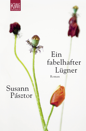 Ein fabelhafter Lügner von Pásztor,  Susann