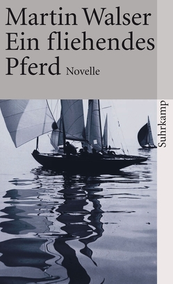 Ein fliehendes Pferd von Walser,  Martin