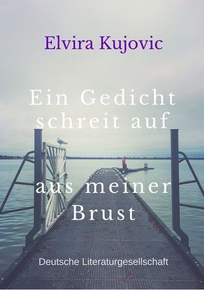 Ein Gedicht schreit auf aus meiner Brust von Kujovic,  Elvira