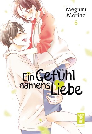 Ein Gefühl namens Liebe 06 von Morino,  Megumi, Okada-Willmann,  Yayoi