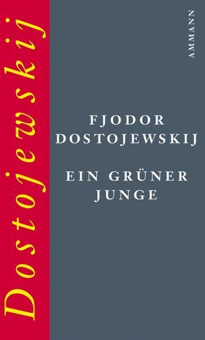 Ein grüner Junge von Dostojewskij,  Fjodor, Geier,  Swetlana