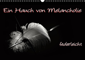 Ein Hauch von Melancholie – federleicht (Wandkalender 2021 DIN A3 quer) von ppicture