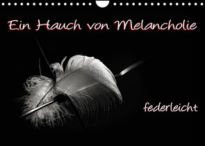 Ein Hauch von Melancholie – federleicht (Wandkalender 2022 DIN A4 quer) von ppicture