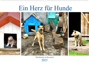 Ein Herz für Hunde – Wachhunde in Russland (Wandkalender 2023 DIN A2 quer) von von Loewis of Menar,  Henning