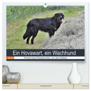 Ein Hovawart, ein Wachhund (hochwertiger Premium Wandkalender 2024 DIN A2 quer), Kunstdruck in Hochglanz von Siebert,  Jens