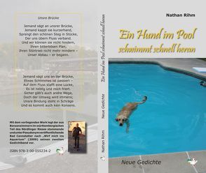 Ein Hund im Pool schwimmt schnell heran von Rihm,  Nathan