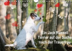 Ein Jack Russell Terrier auf der Suche nach der Traumfrau (Wandkalender 2018 DIN A4 quer) von S. + J. Schröder,  AWS, Schroeder,  Susanne, Werbeagentur