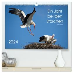 Ein Jahr bei den Störchen (hochwertiger Premium Wandkalender 2024 DIN A2 quer), Kunstdruck in Hochglanz von Bittner,  Martin