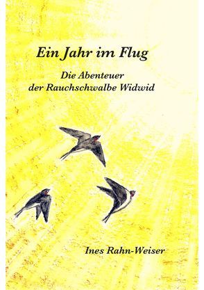 Ein Jahr im Flug von Rahn-Weiser,  Ines