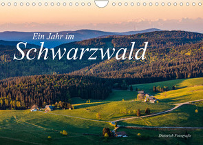 Ein Jahr im Schwarzwald (Wandkalender 2023 DIN A4 quer) von Dieterich,  Werner