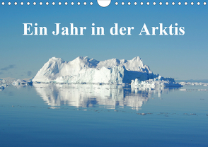 Ein Jahr in der Arktis (Wandkalender 2021 DIN A4 quer) von on Tour,  Schluffis