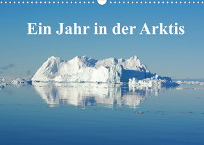 Ein Jahr in der Arktis (Wandkalender 2022 DIN A3 quer) von on Tour,  Schluffis