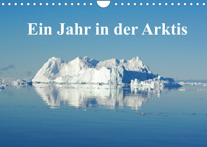 Ein Jahr in der Arktis (Wandkalender 2022 DIN A4 quer) von on Tour,  Schluffis