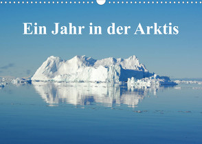 Ein Jahr in der Arktis (Wandkalender 2023 DIN A3 quer) von on Tour,  Schluffis