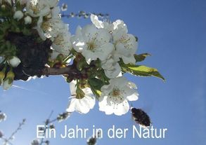 Ein Jahr in der Natur (Tischaufsteller DIN A5 quer) von Schagow,  Veit