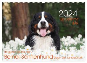 Ein Jahr mit BÄR. Begleiten Sie Bär, den Berner Sennenhund, durch die Jahreszeiten. (Wandkalender 2024 DIN A2 quer), CALVENDO Monatskalender von Brenner,  Sonja