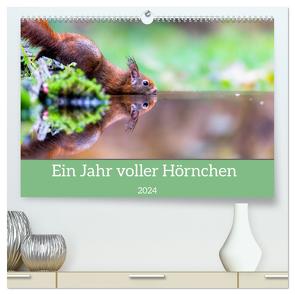 Ein Jahr voller Hörnchen (hochwertiger Premium Wandkalender 2024 DIN A2 quer), Kunstdruck in Hochglanz von ellenlichtenheldt,  ellenlichtenheldt