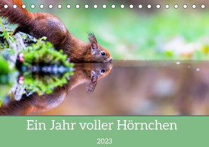 Ein Jahr voller Hörnchen (Tischkalender 2023 DIN A5 quer) von ellenlichtenheldt