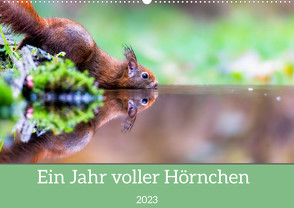 Ein Jahr voller Hörnchen (Wandkalender 2023 DIN A2 quer) von ellenlichtenheldt
