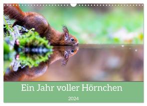 Ein Jahr voller Hörnchen (Wandkalender 2024 DIN A3 quer), CALVENDO Monatskalender von ellenlichtenheldt,  ellenlichtenheldt