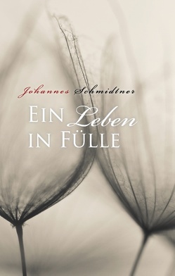 Ein Leben in Fülle von Schmidtner,  Johannes