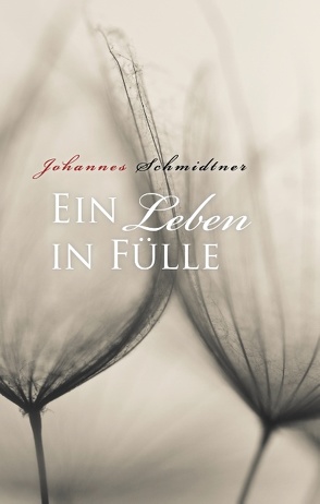 Ein Leben in Fülle von Schmidtner,  Johannes