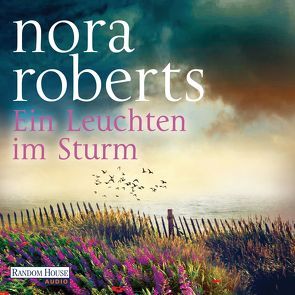 Ein Leuchten im Sturm von Burkhardt,  Christiane, Roberts,  Nora, Wilms,  Elena