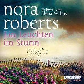 Ein Leuchten im Sturm von Burkhardt,  Christiane, Roberts,  Nora, Wilms,  Elena