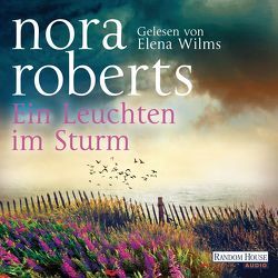 Ein Leuchten im Sturm von Burkhardt,  Christiane, Roberts,  Nora, Wilms,  Elena