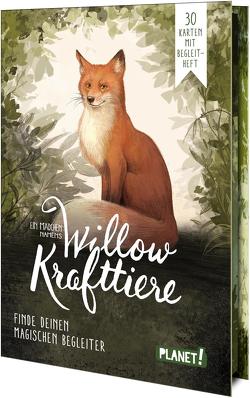 Ein Mädchen namens Willow: Krafttiere von Bohlmann,  Sabine, Ceccarelli,  Simona