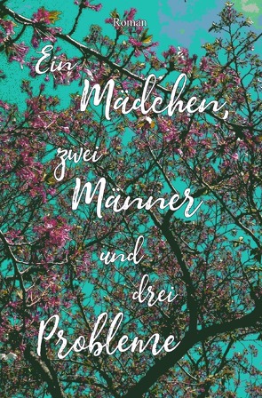 Ein Mädchen, zwei Männer und drei Probleme von Jahreiß,  Anika