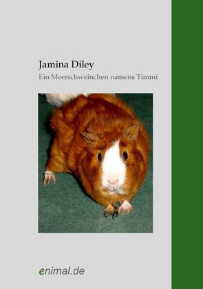 Ein Meerschweinchen namens Timmi von Diley,  Jamina