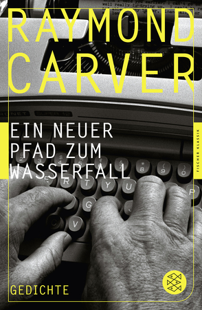 Ein neuer Pfad zum Wasserfall von Carver,  Raymond, Frielinghaus,  Helmut