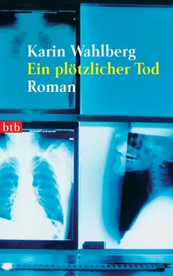 Ein plötzlicher Tod von Hildebrandt,  Christel, Wahlberg,  Karin