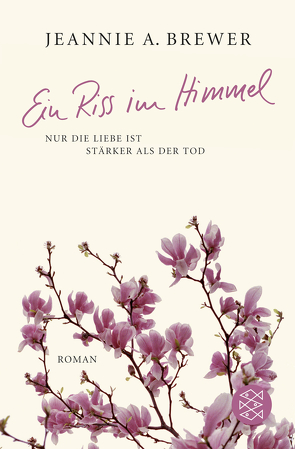 Ein Riss im Himmel von Brewer,  Jeannie A.