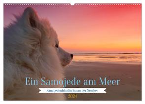 Ein Samojede am Meer (Wandkalender 2024 DIN A2 quer), CALVENDO Monatskalender von Valentino,  Bo