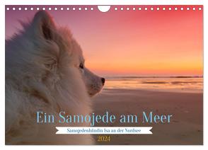 Ein Samojede am Meer (Wandkalender 2024 DIN A4 quer), CALVENDO Monatskalender von Valentino,  Bo