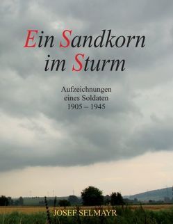 Ein Sandkorn im Sturm von Selmayr,  Gerhard, Selmayr,  Josef