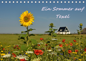 Ein Sommer auf Texel (Tischkalender 2021 DIN A5 quer) von Hackstein,  Bettina