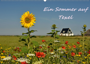 Ein Sommer auf Texel (Wandkalender 2020 DIN A2 quer) von Hackstein,  Bettina