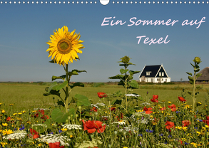 Ein Sommer auf Texel (Wandkalender 2020 DIN A3 quer) von Hackstein,  Bettina