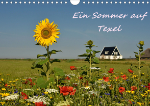 Ein Sommer auf Texel (Wandkalender 2020 DIN A4 quer) von Hackstein,  Bettina